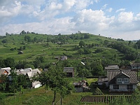Jasinia