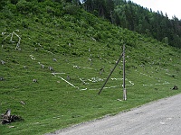 Czarny Czeremosz