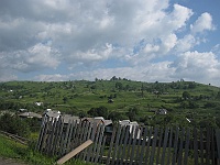 Jasinia