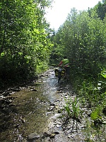 Łazeszczyna