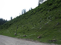 Czarny Czeremosz