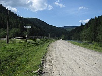 Zełene