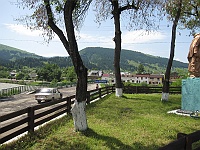 Żabie