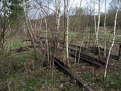 Dziewięcierz