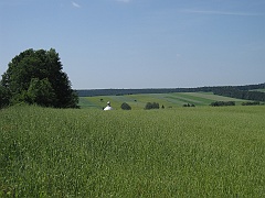 Werchrata