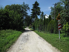 Dziewięcierz