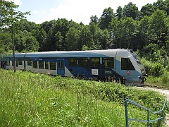 Dziewięcierz