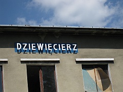 Dziewięcierz