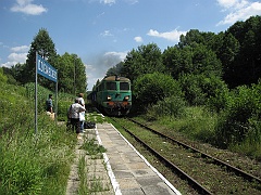 Dziewięcierz