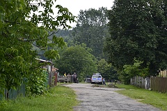 Niwki Horynieckie