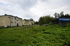 Niwki Horynieckie
