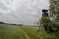 między Kozubalami a Zającami