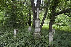 Zające