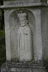 Zające