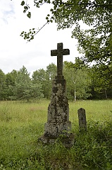 Zające