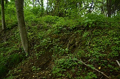 Chmiele