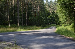 Długi Goraj