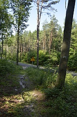 Długi Goraj