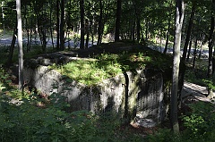 Długi Goraj