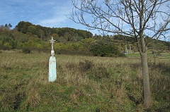 Rzepedź