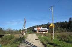 Jawornik