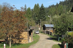 Jawornik