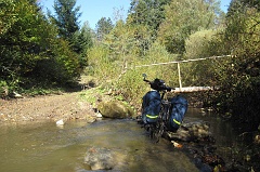 Jawornik