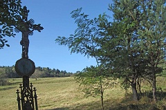 Jawornik