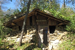 Jawornik