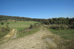 Turzańsk