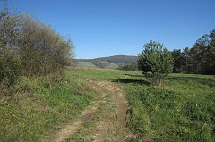 Kalnica