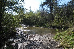 Kalnica