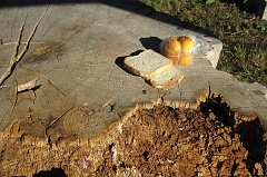 Kalnica