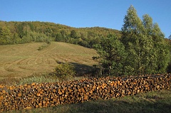 Tyskowa