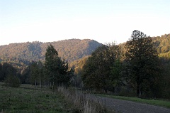 Tyskowa