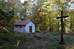 Jawornik