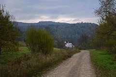 Łopienka