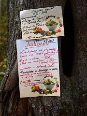 Łopienka
