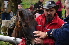 Łopienka