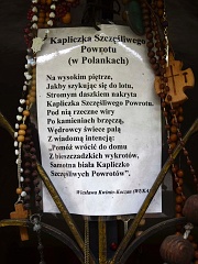 Polanki