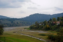 Wołkowyja