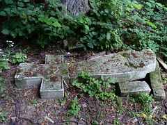 Żmijowiska