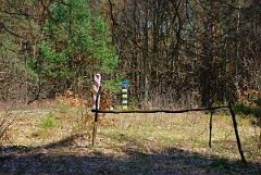 DSC4176