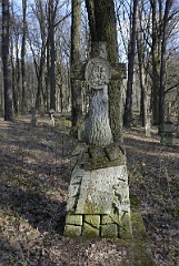 DSC4217