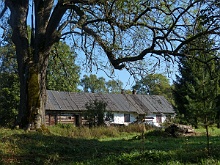 P1030587