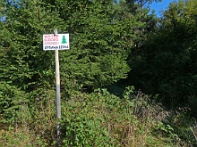 P1030597