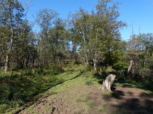 P1030600