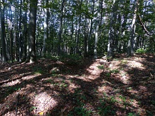 P1030601