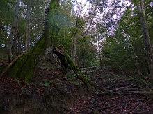 P1030638