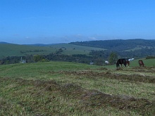 P1030662